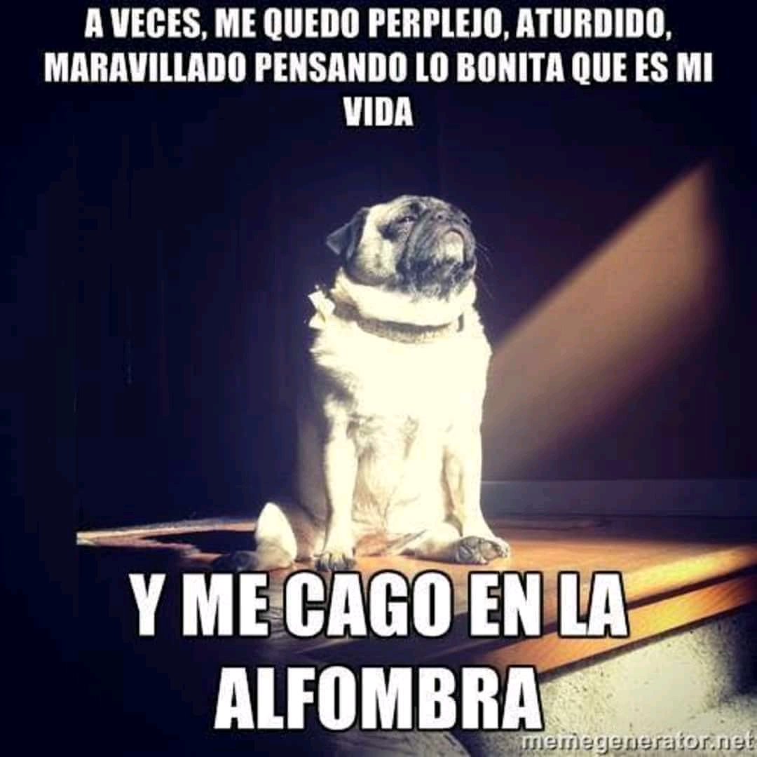 El link de la
          imagen se ha roto, pon los monos a trabajar!